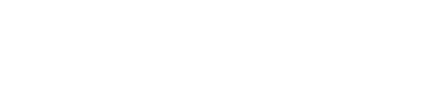 多様なモビリティ